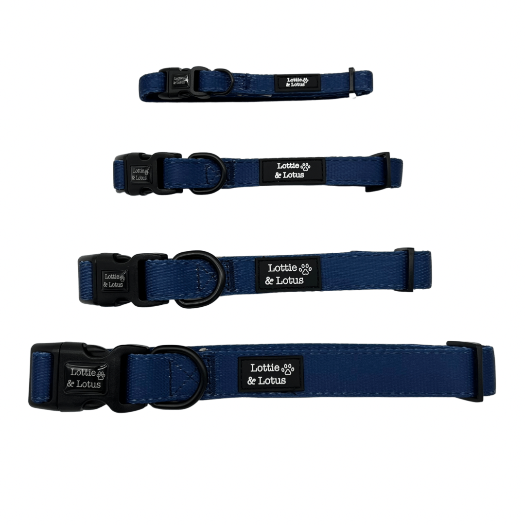 Blue Dog Collar