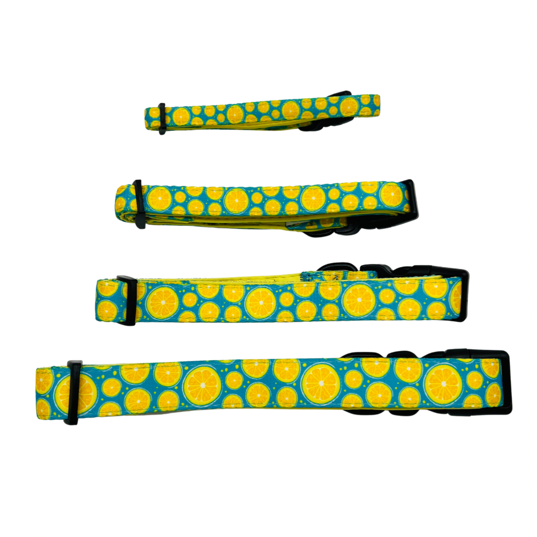 Blue Citrus Dog Collar