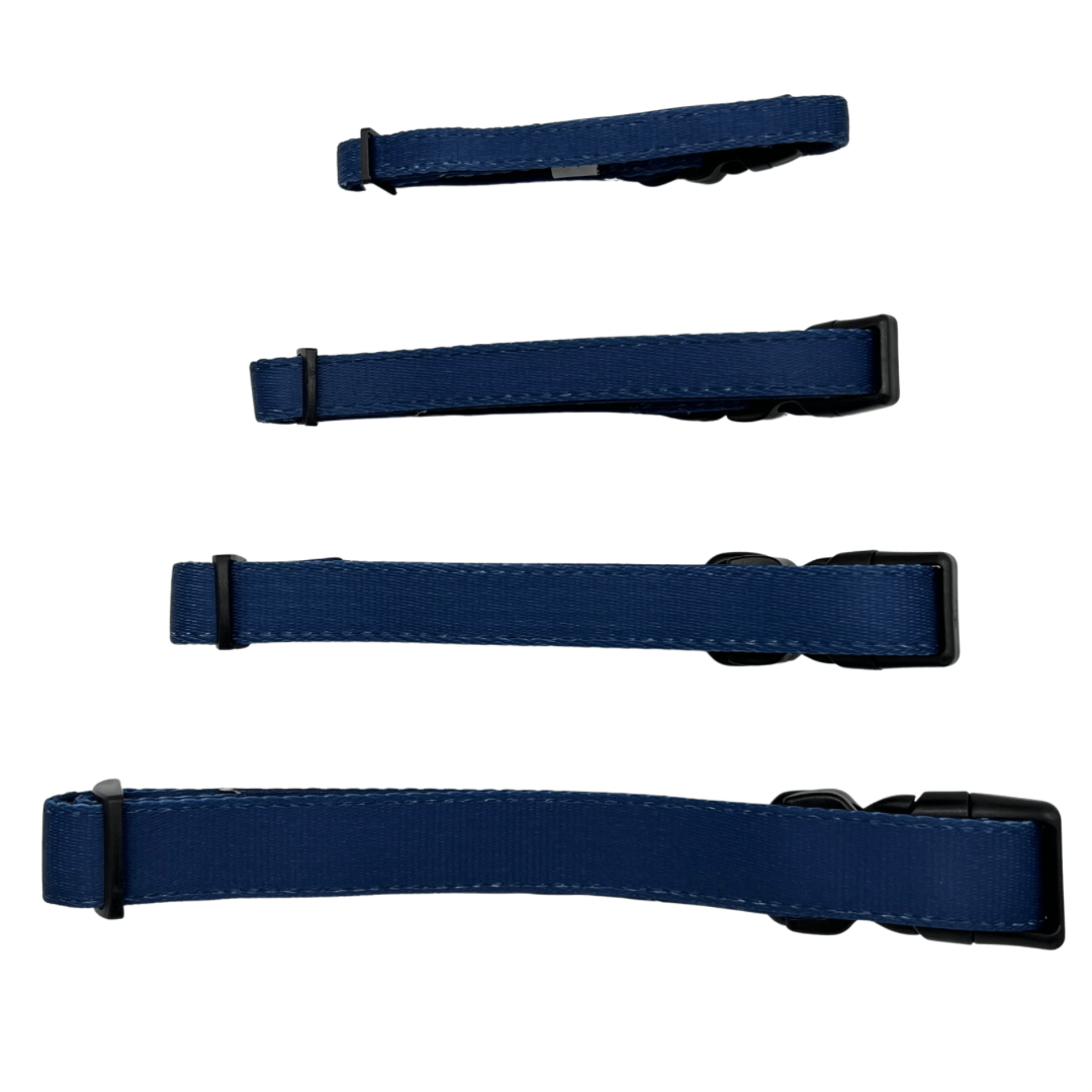 Blue Dog Collar