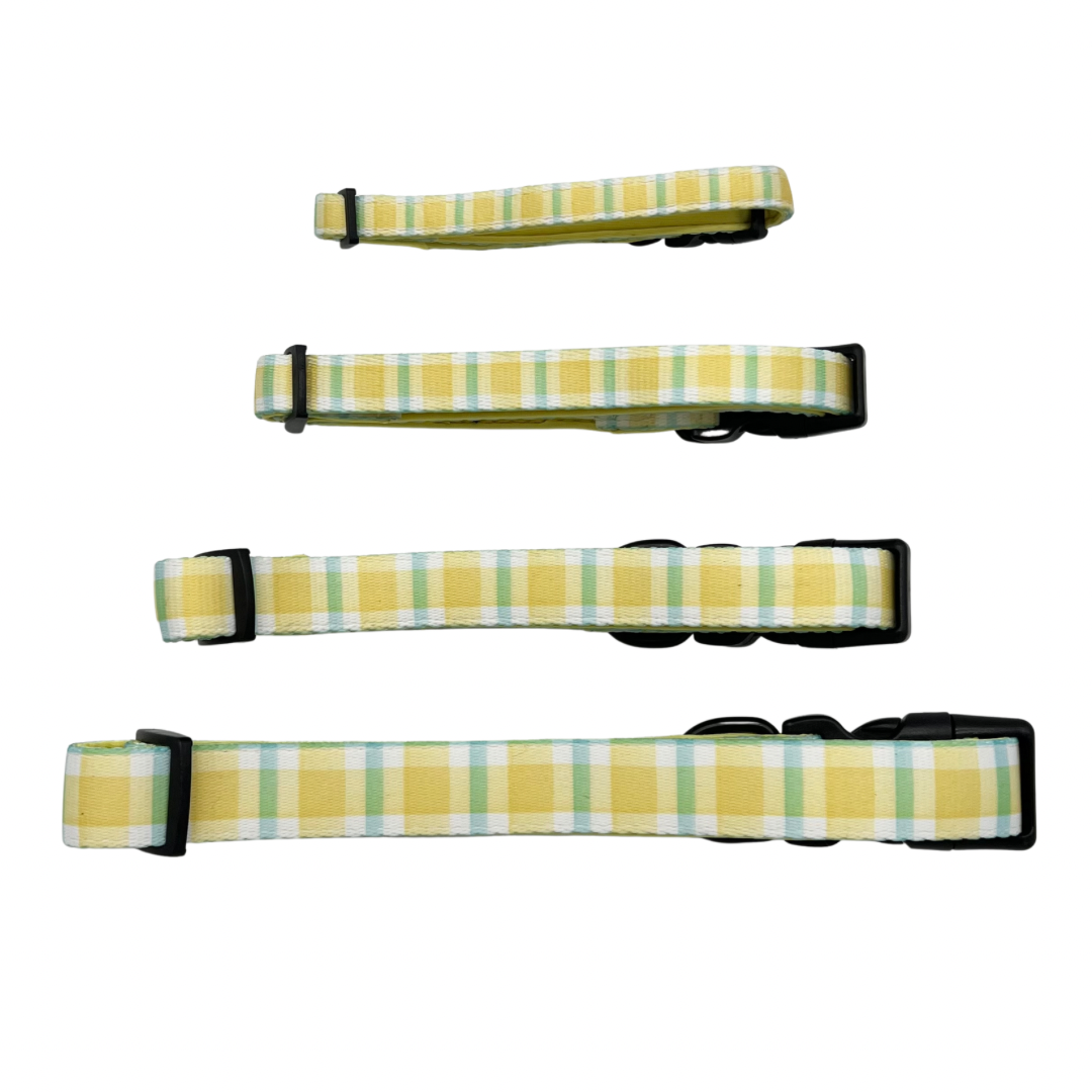 Yellow Gingham Dog Collar