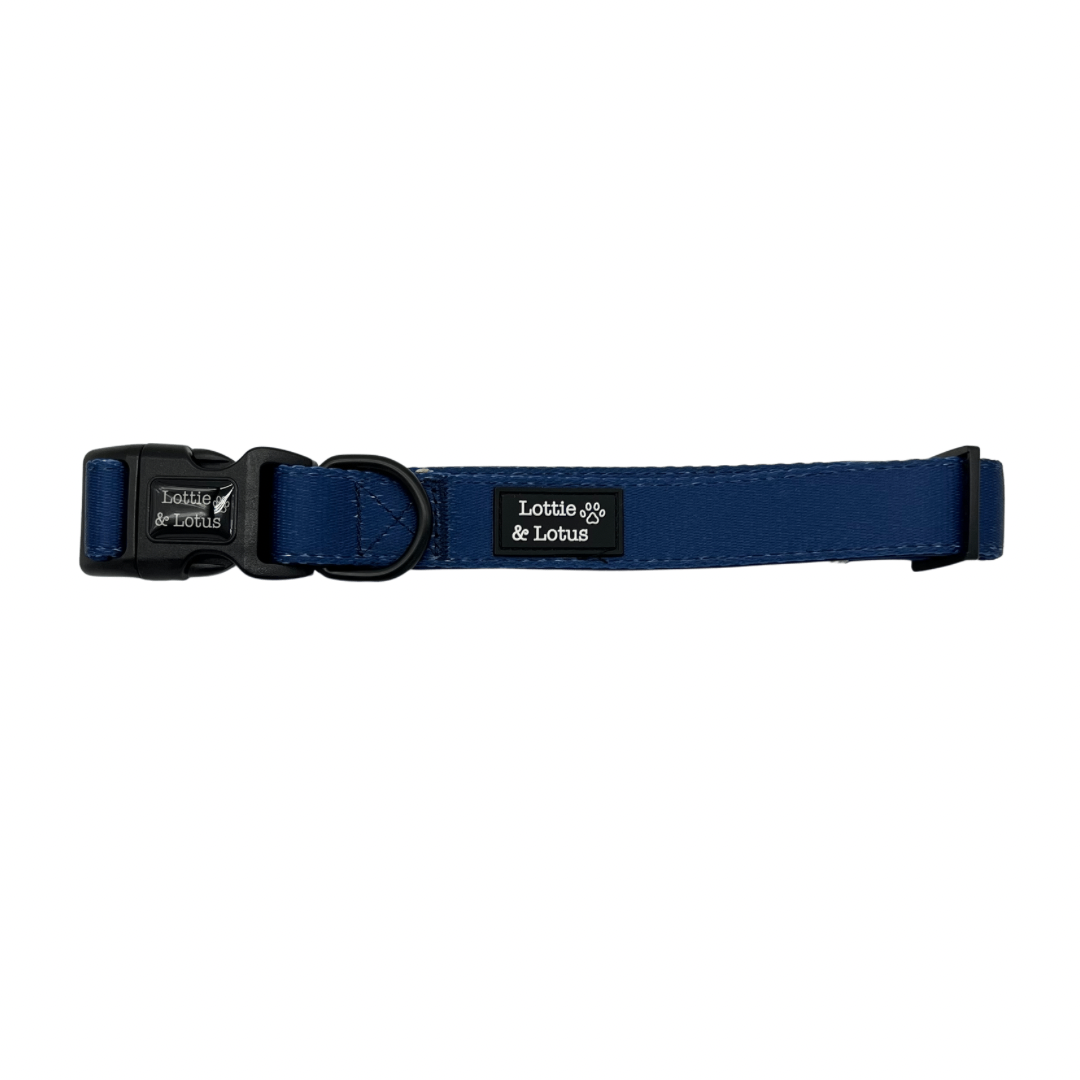 Blue Dog Collar