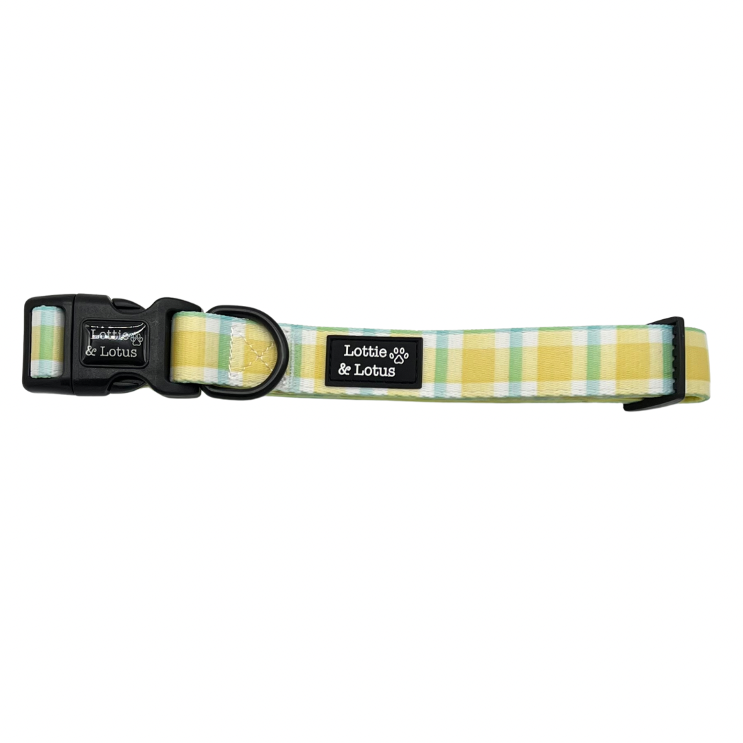 Yellow Gingham Dog Collar