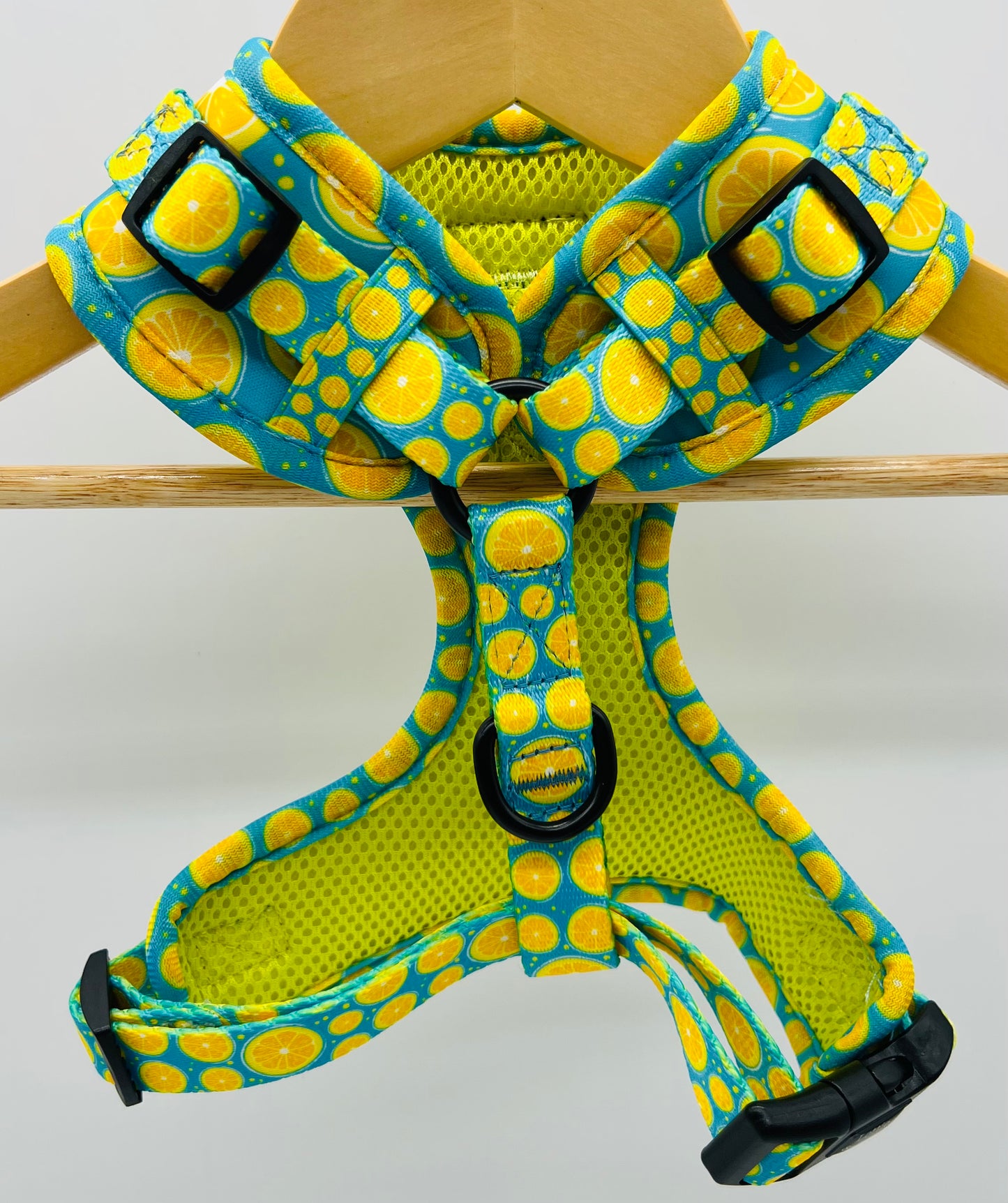 Blue Citrus Over Head Harness