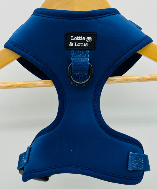 Blue Over Head Harness