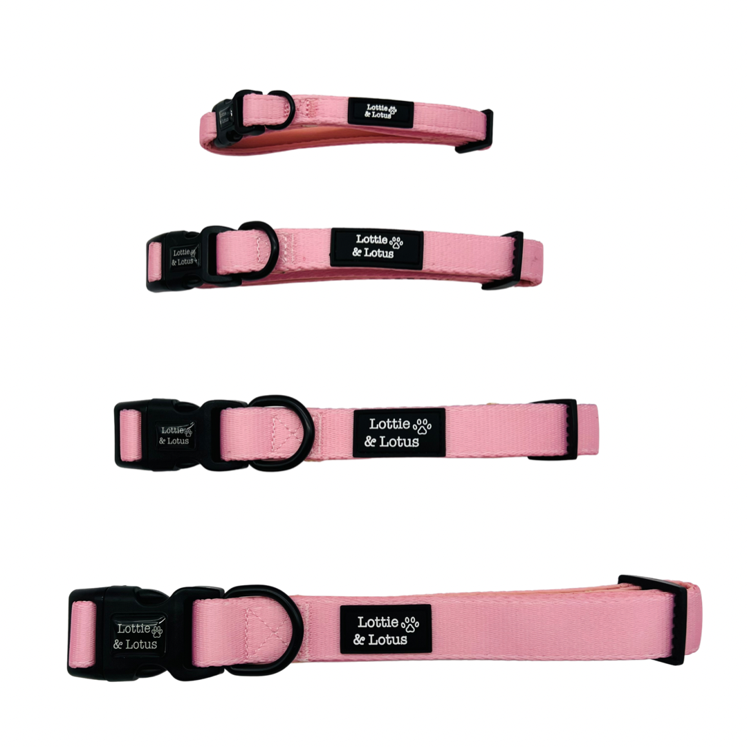 Fairy Tail Pink Dog Collar