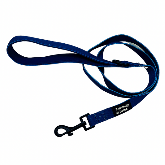 Blue Dog Lead