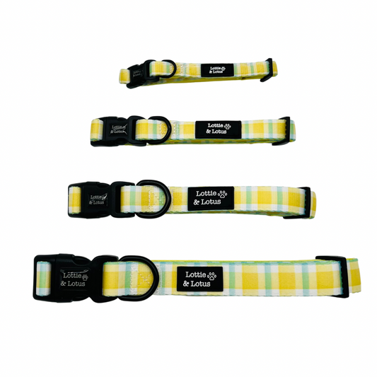 Yellow Gingham Dog Collar