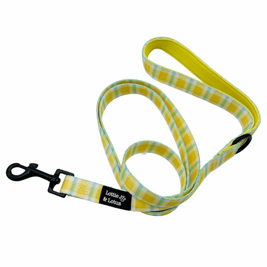 Yellow Gingham Dog Lead