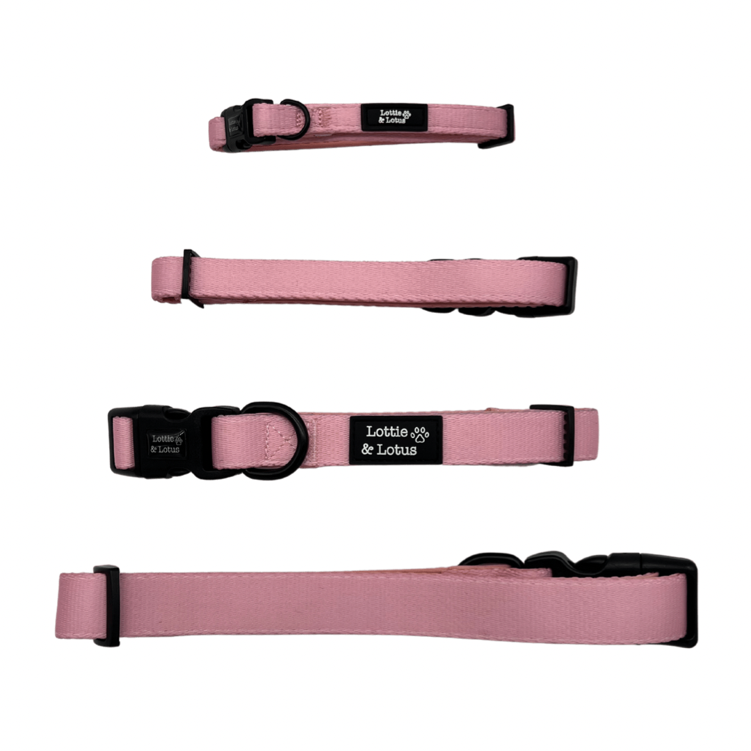 Fairy Tail Pink Dog Collar