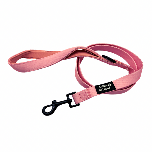 Fairy Tail Pink Dog Lead