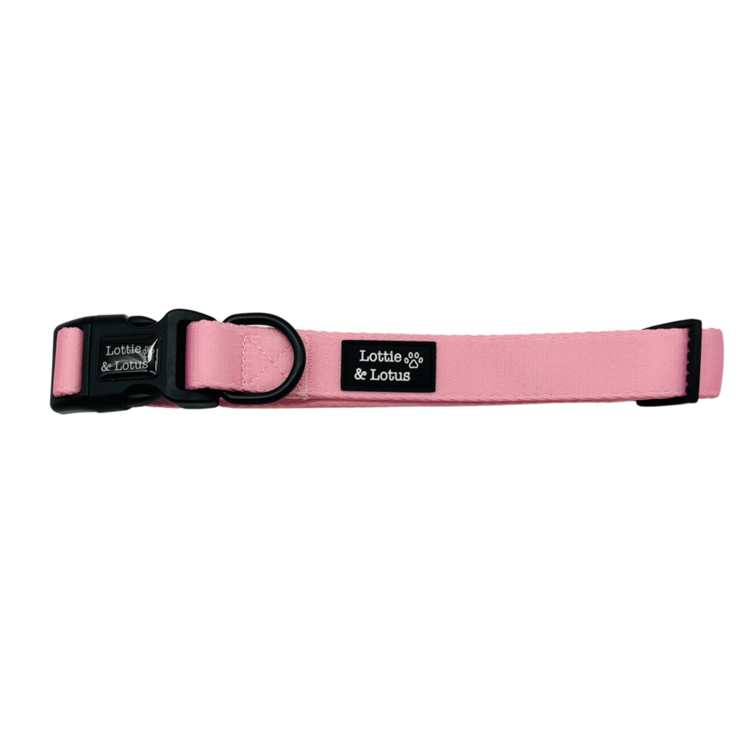 Fairy Tail Pink Dog Collar