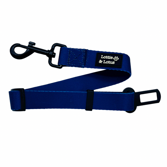 Blue Dog Seatbelt