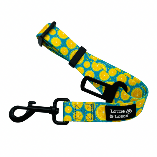 Blue Citrus Dog Seatbelt