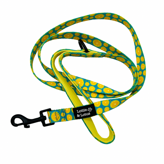 Blue Citrus Dog Lead
