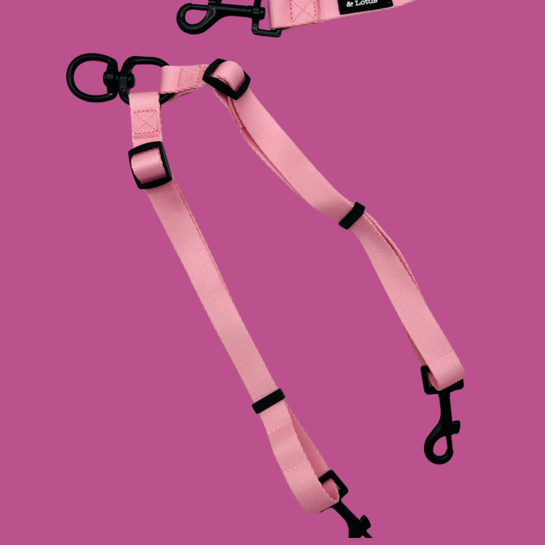 Fairy Tail Pink Dog Lead Splitter