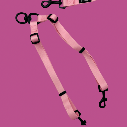 Fairy Tail Pink Dog Lead Splitter