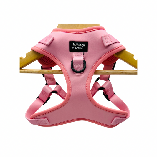 Fairy Tail Pink Step in Harness